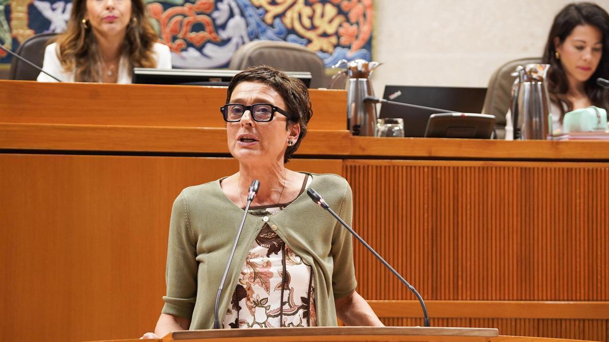La portavoz del PP, Ana Marín, en el pleno de este jueves.