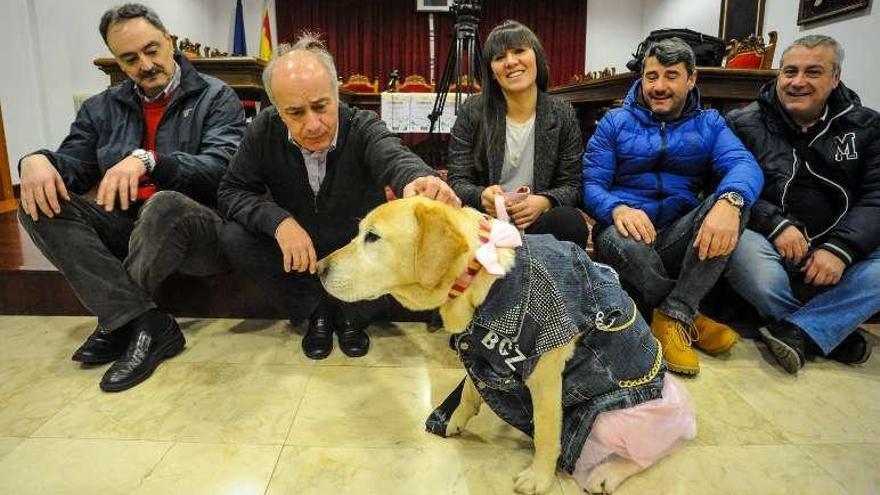 Las mascotas tendrán su particular carnaval en Vilanova. // I. Abella