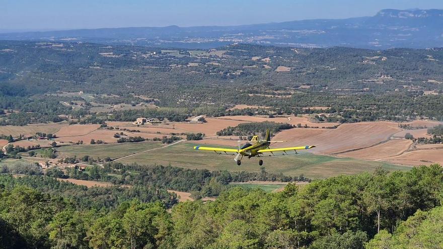Prop de 15.000 hectàrees de bosc del Bages, Berguedà i Solsonès reben tractament aeri per la processionària