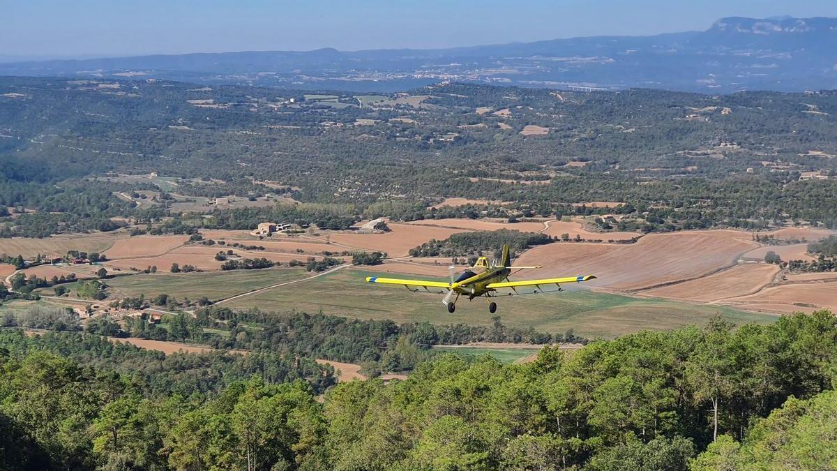 Avioneta llançant el tractament sobre els boscos de pi