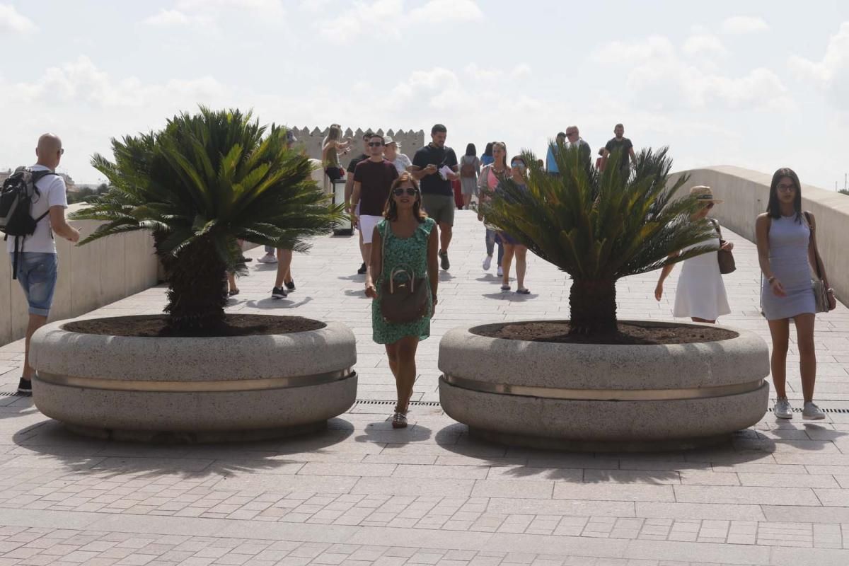 Fotogalería / Bolardos para el puente Romano