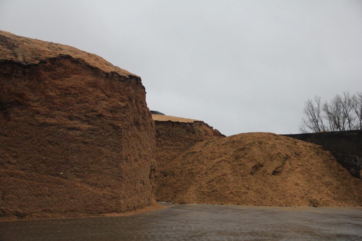 Montañas de silo de maíz para su valorización