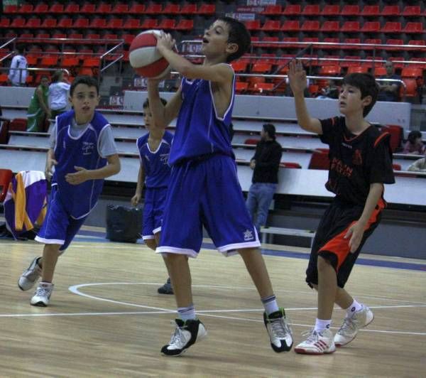 Día del Minibasket