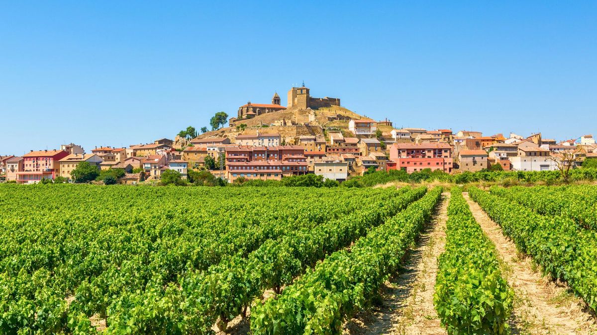 Ni París, ni Roma: esta es la verdadera capital del vino y de la gastronomía (y está en España)
