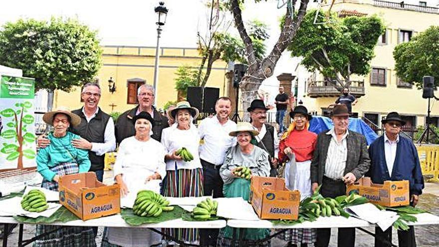 La fiesta del plátano de Gáldar pone fin al encuentro de productores ecológicos
