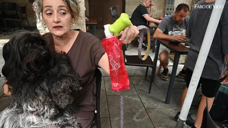 Estela y su perra Luci acuden a la tapería Os Carballos, establecimiento que acepta mascotas