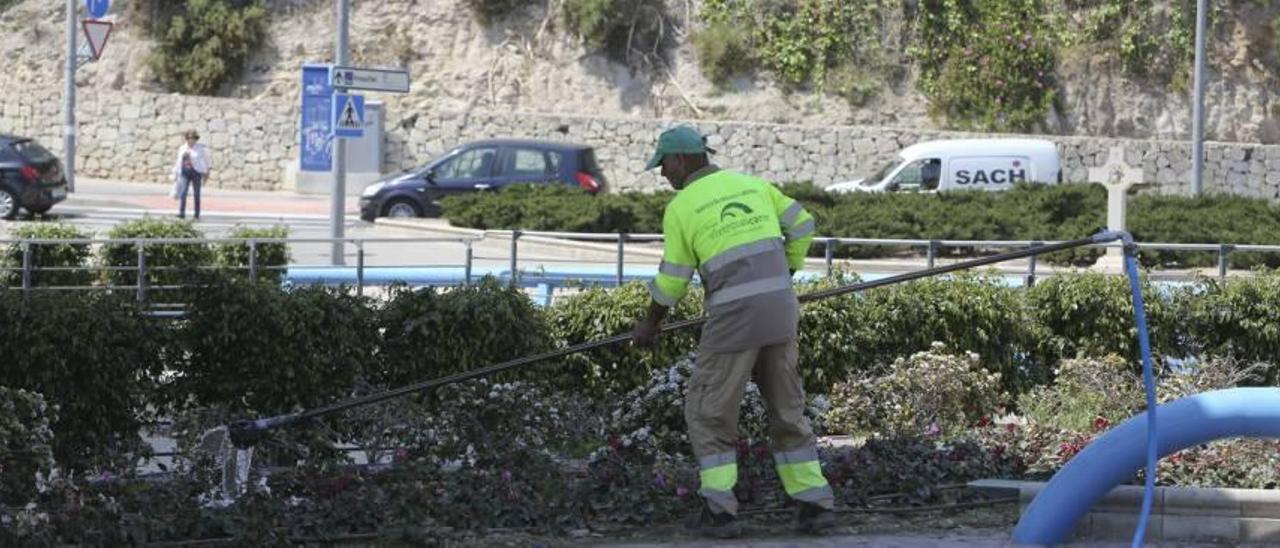 Arreglo de las zonas verdes en el recorrido de la peregrinación