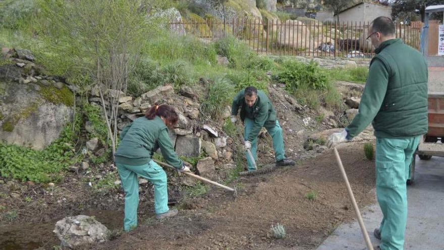 Los participantes realizan trabajos de jardinería.