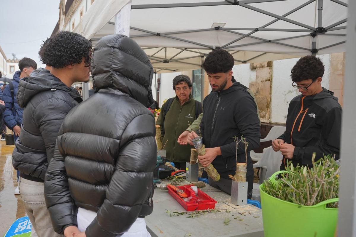 Diversos centros y entidades han orientado a los jóvenes sobre las posibilidades formativas.