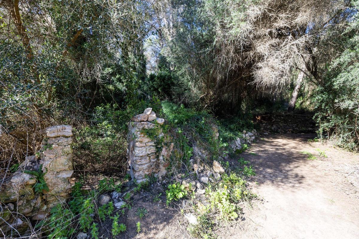 Imágenes de sa Fontassa y el río de Santa Eulària Imágenes de sa Fontassa y el río de Santa Eulària