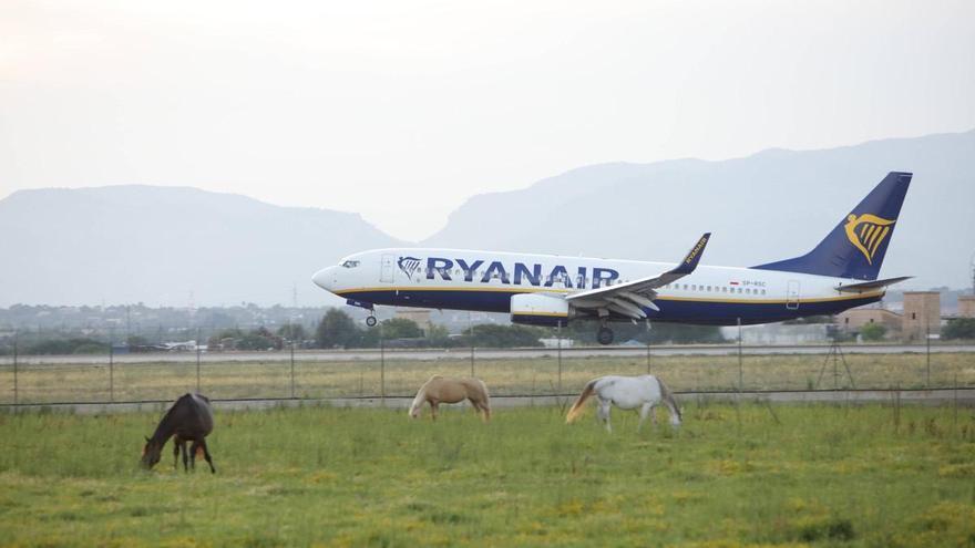 El tráfico aéreo de los tres aeropuertos de Baleares crece en mayo un 6,1%, con 43.514 vuelos