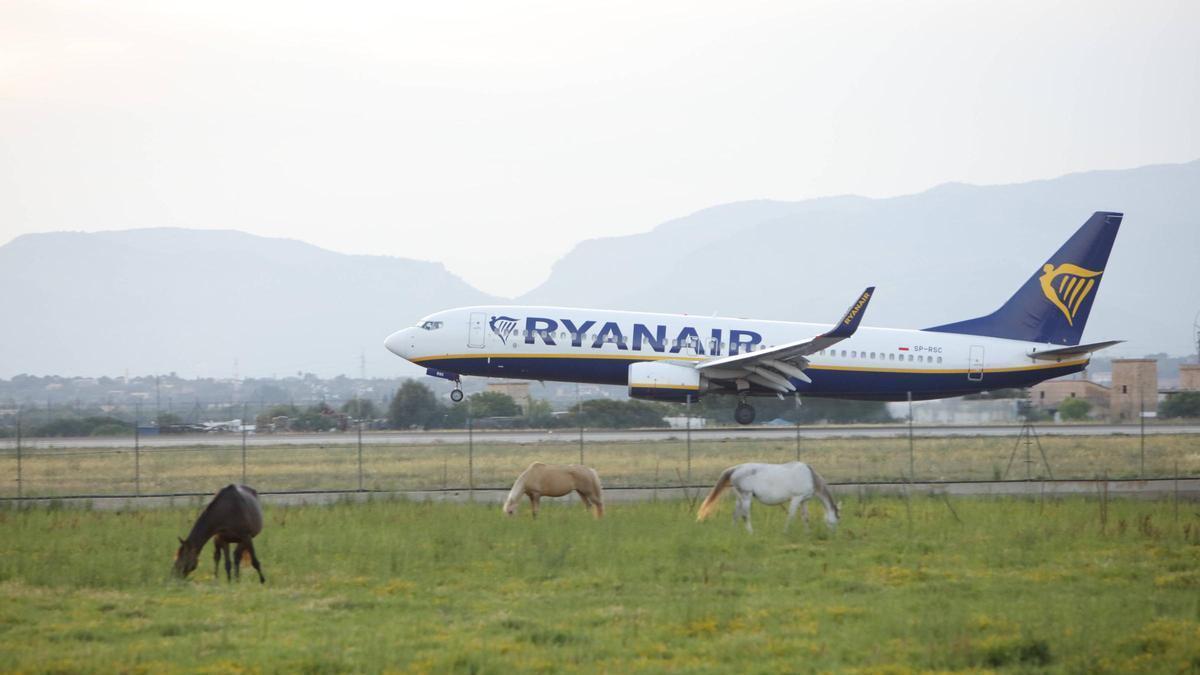 Un avión de Ryanair despega del aeropuerto de Palma