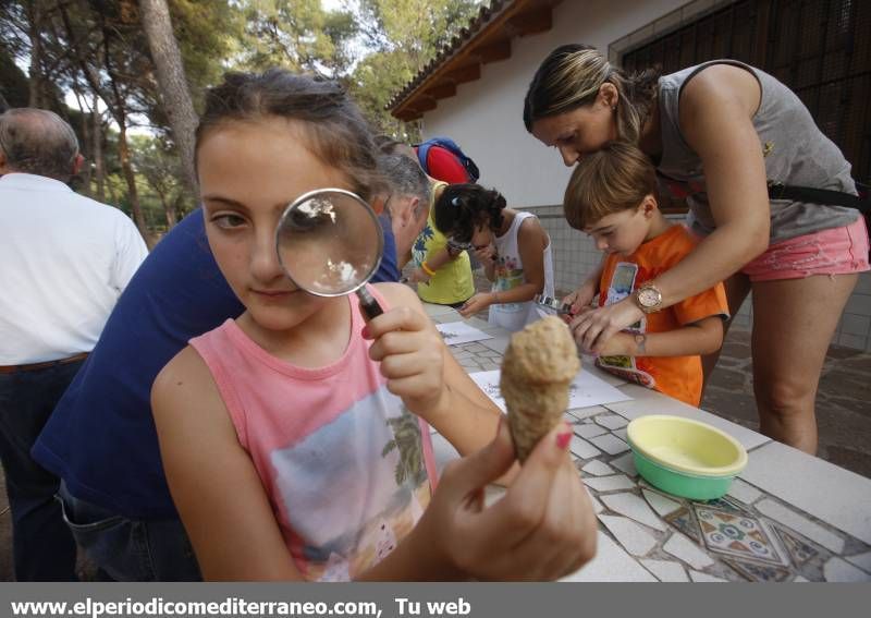 GALERÍA DE FOTOS -- Educación medioambiental en El Termet de Vila-real