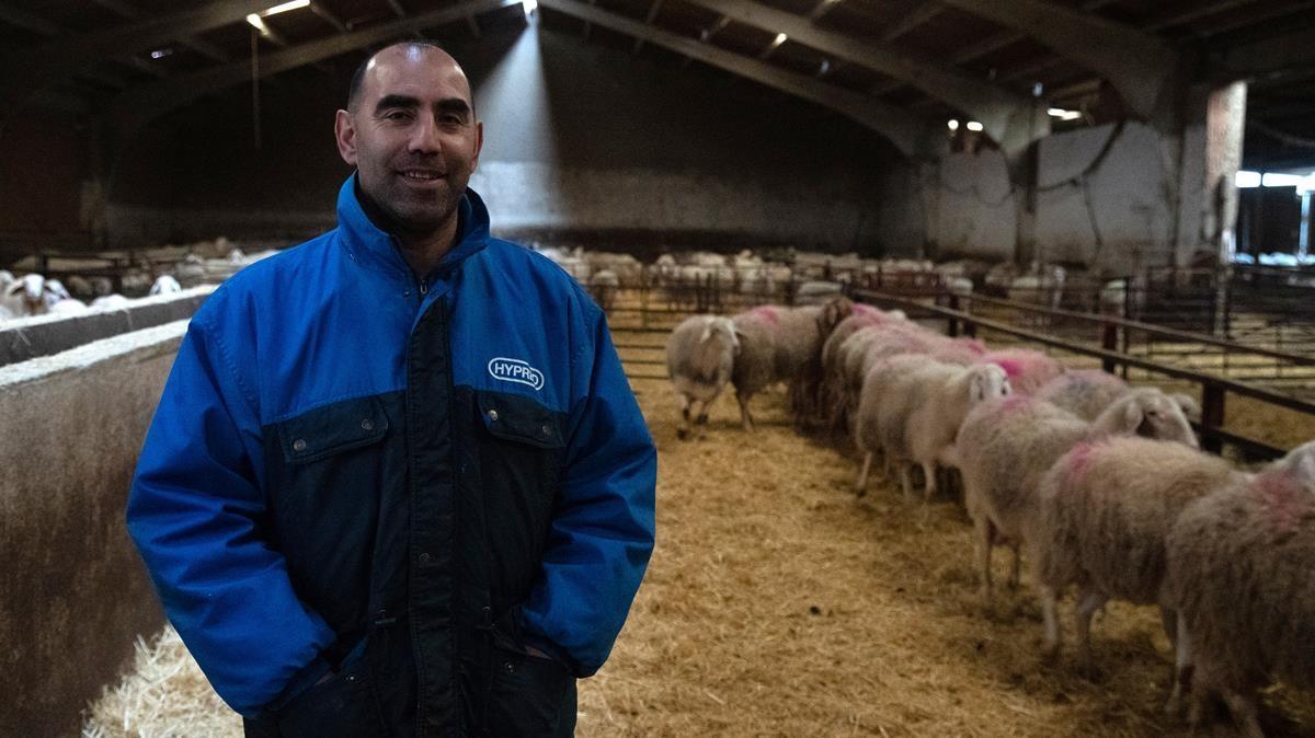 Miguel Ángel Marcos, en su explotación ganadera de Villalonso (Zamora), que sufrió un ataque de lobos en el que murieron 69 ovejas el mismo día en que se acordó prohibir su caza.