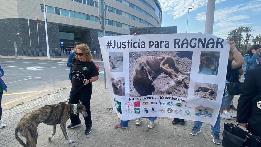 Imagen de la manifestación que pide justicia para Ragnar.