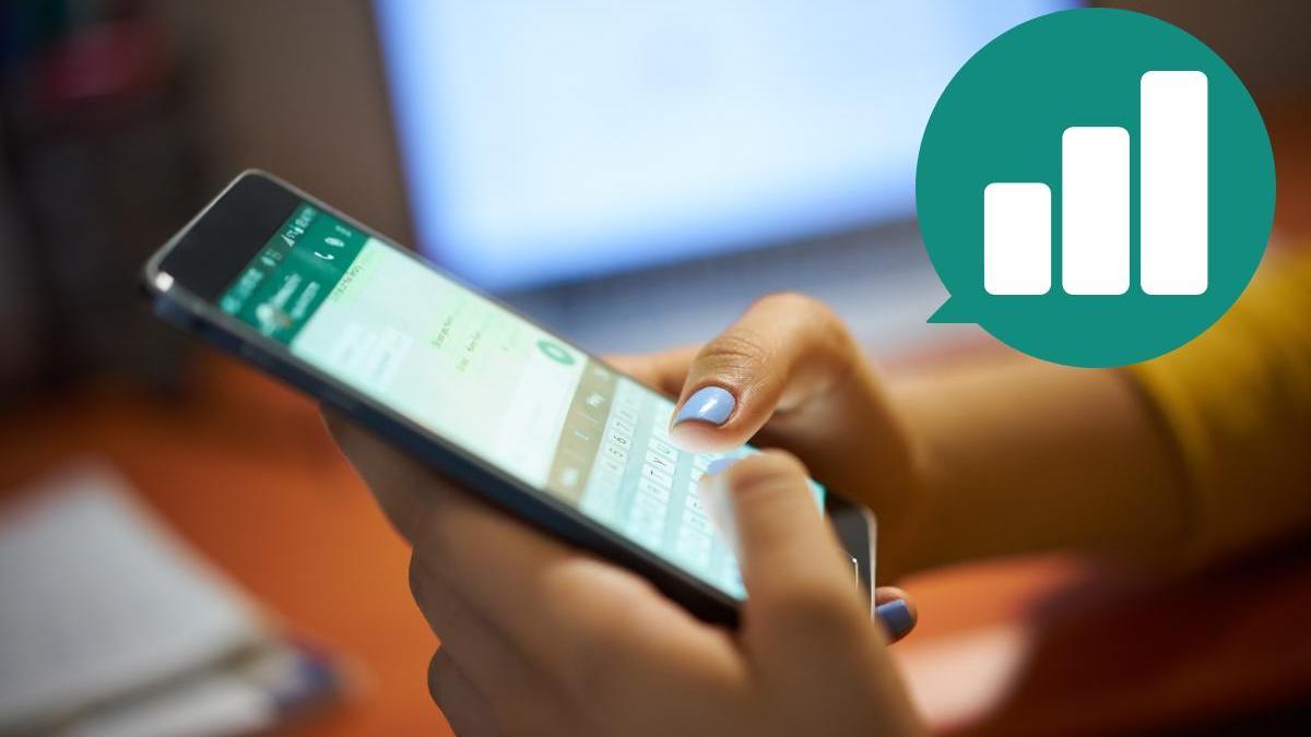 Encuesta Whatsapp | Cómo se hacen encuestas en WhatsApp