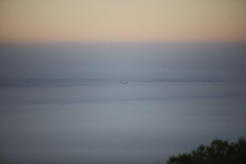 La niebla en Palma.