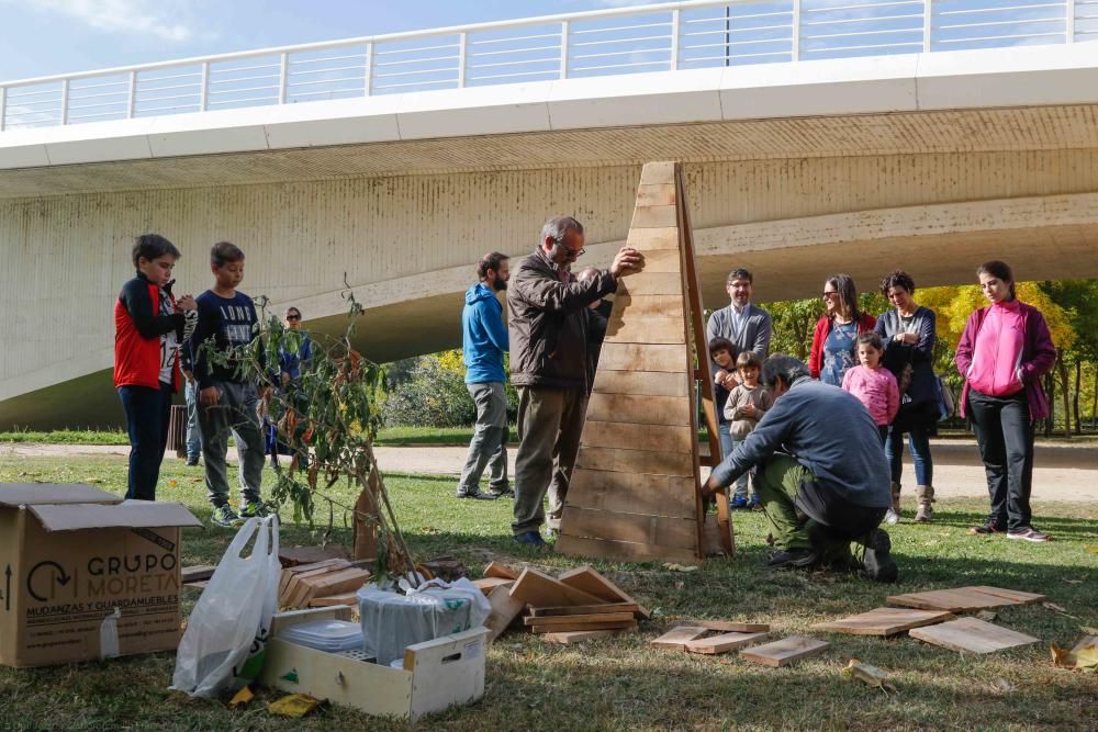 Curso medioambiente y construcción hotel de abejas