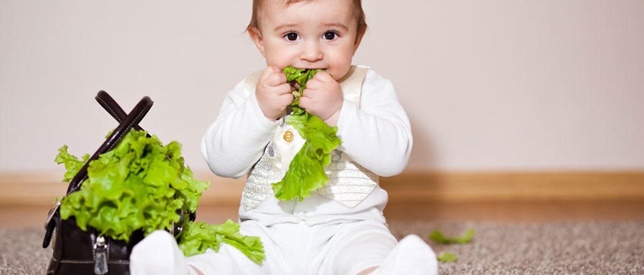 Bebés Veganos ¿una Dieta Saludable Para Nuestros Hijos Levante Emv 8098