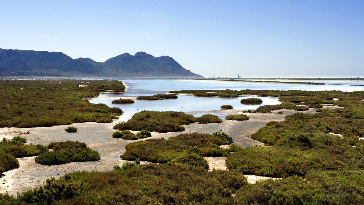 Las salinas del Cabo de Gata, camino del colapso por falta de agua