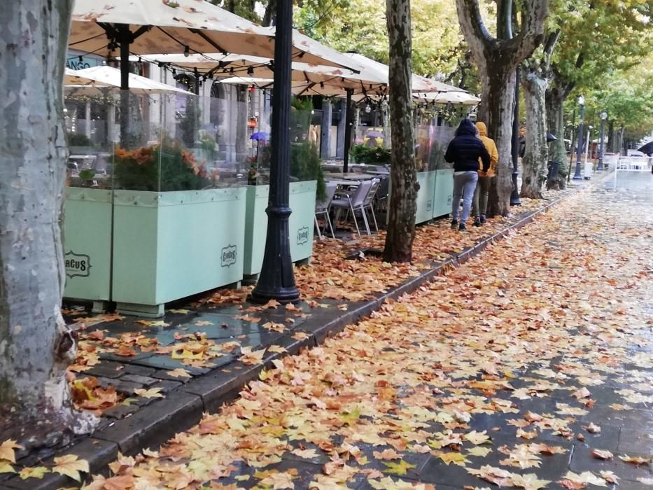 Milers de fulles cobreixen els carrers de Manresa