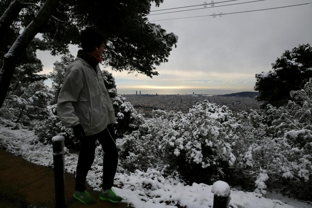 La nieve llega a Barcelona: Collserola, cubierta de blanco