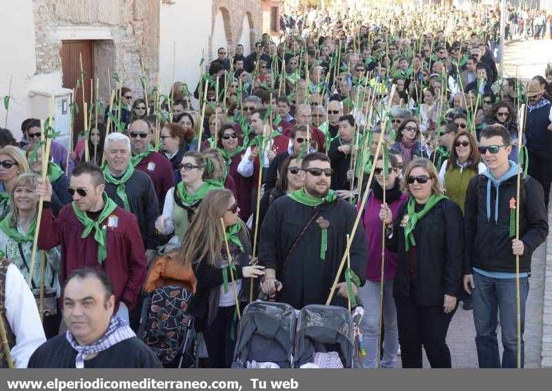 GALERÍA DE FOTOS - Romería Magdalena 2014 (5)