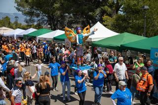 FOTOS | Diumenge de l'Àngel en Palma