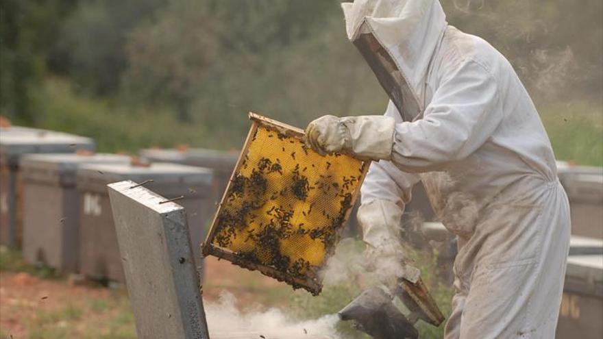 Dudas entre algunos agricultores por la prohibición de pesticidas