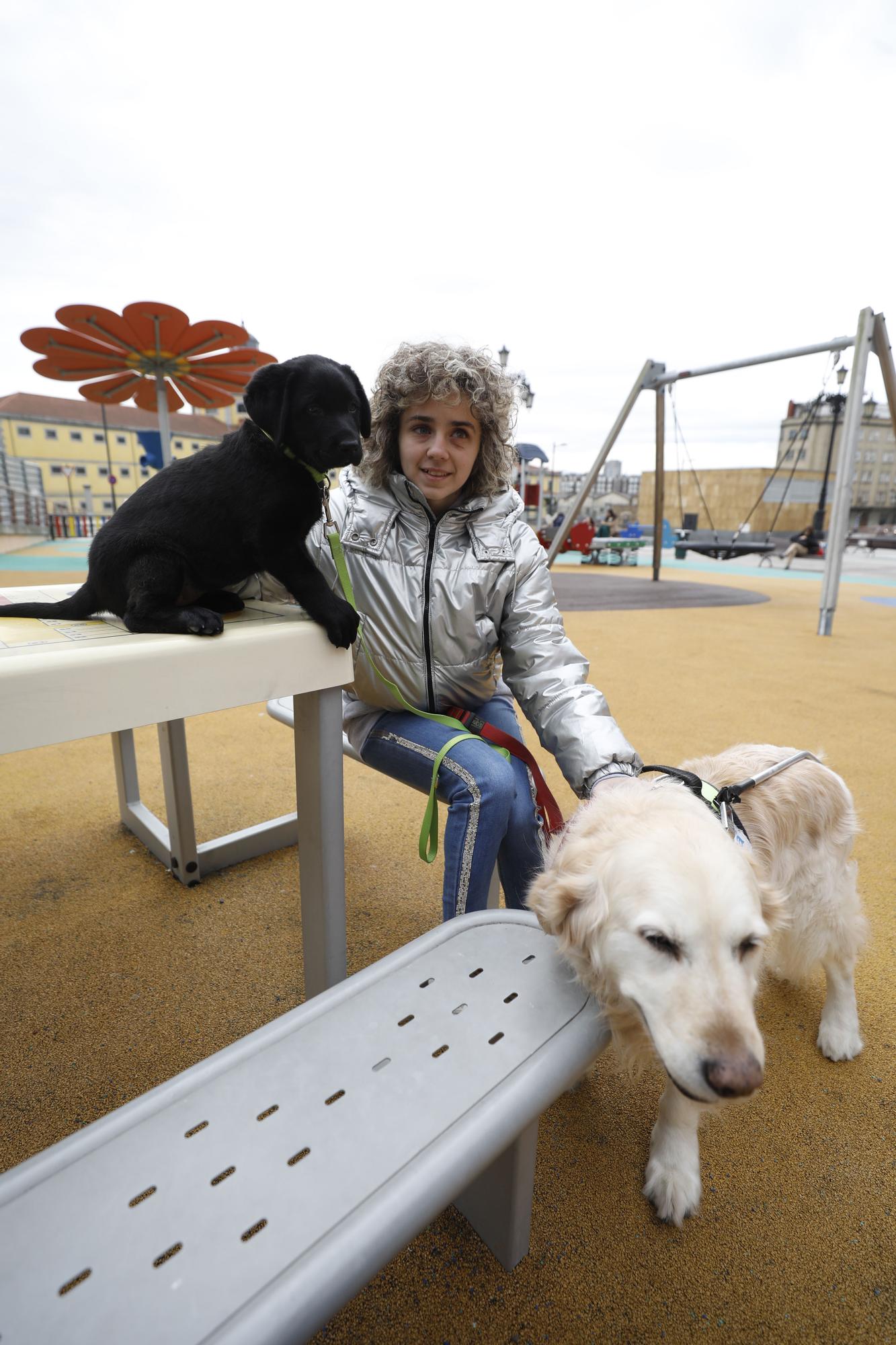 Carmen López, la primera invidente de Europa con título para entrenar perros guía