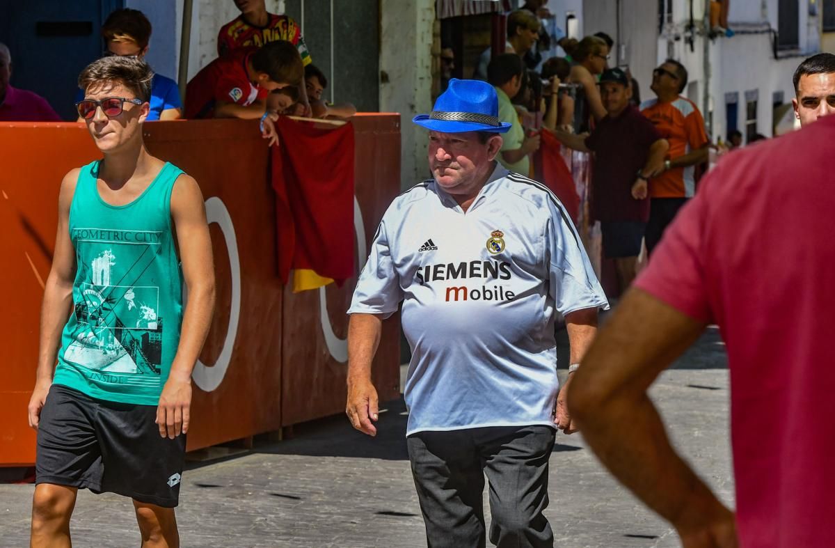 Encierro de las vaquillas de El Viso