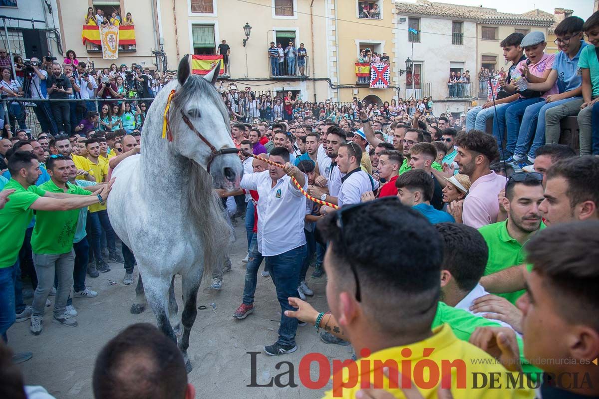 Entrega de premios del concurso morfológico de los Caballos del Vino de Caravaca