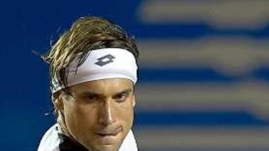 David Ferrer.