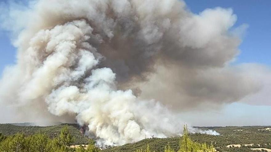 El foc forestal de Rubió afecta una superfície de 25 hectàrees, segons els Agents Rurals