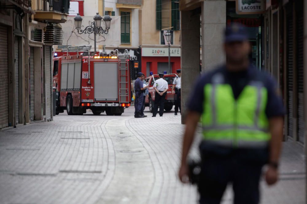 La última bomba de ETA estalló en la Plaza Mayor de Palma