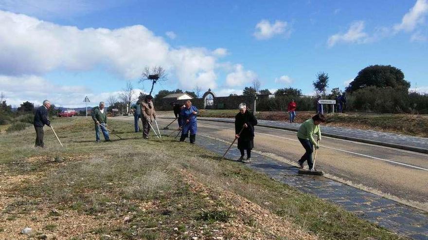 Vecinos de Bercianos limpian las márgenes de la carretera en la travesía del pueblo .