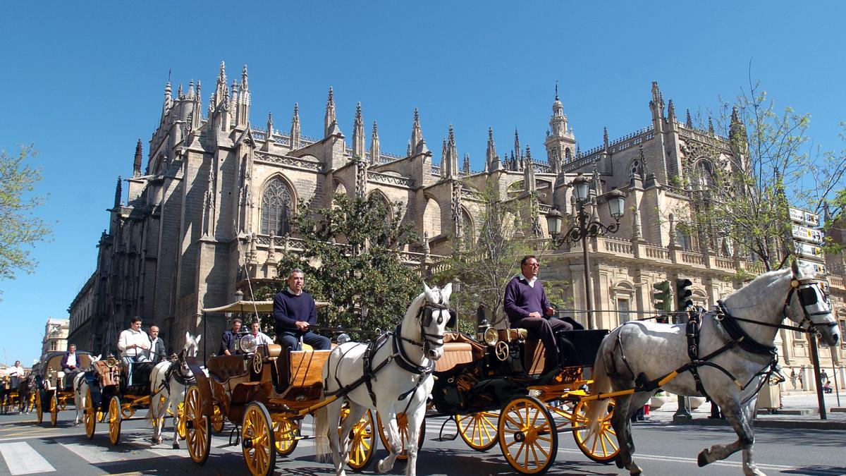 Coches de caballos en el centro de Sevilla