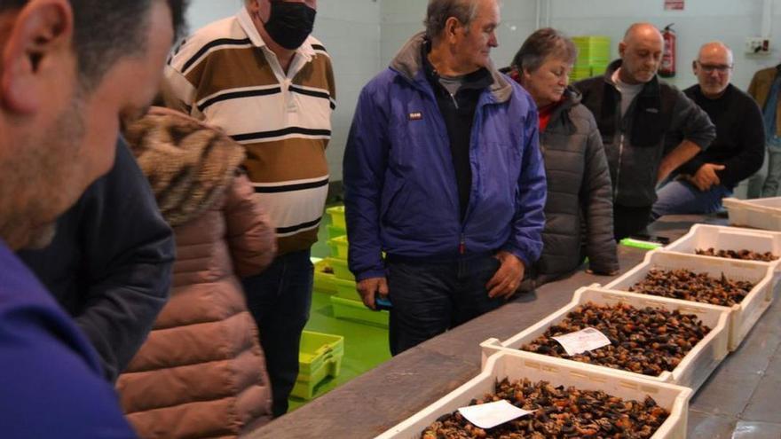 Balance pesquero de la Navidad: &quot;escasas capturas&quot; pero &quot;a muy buenos precios&quot;