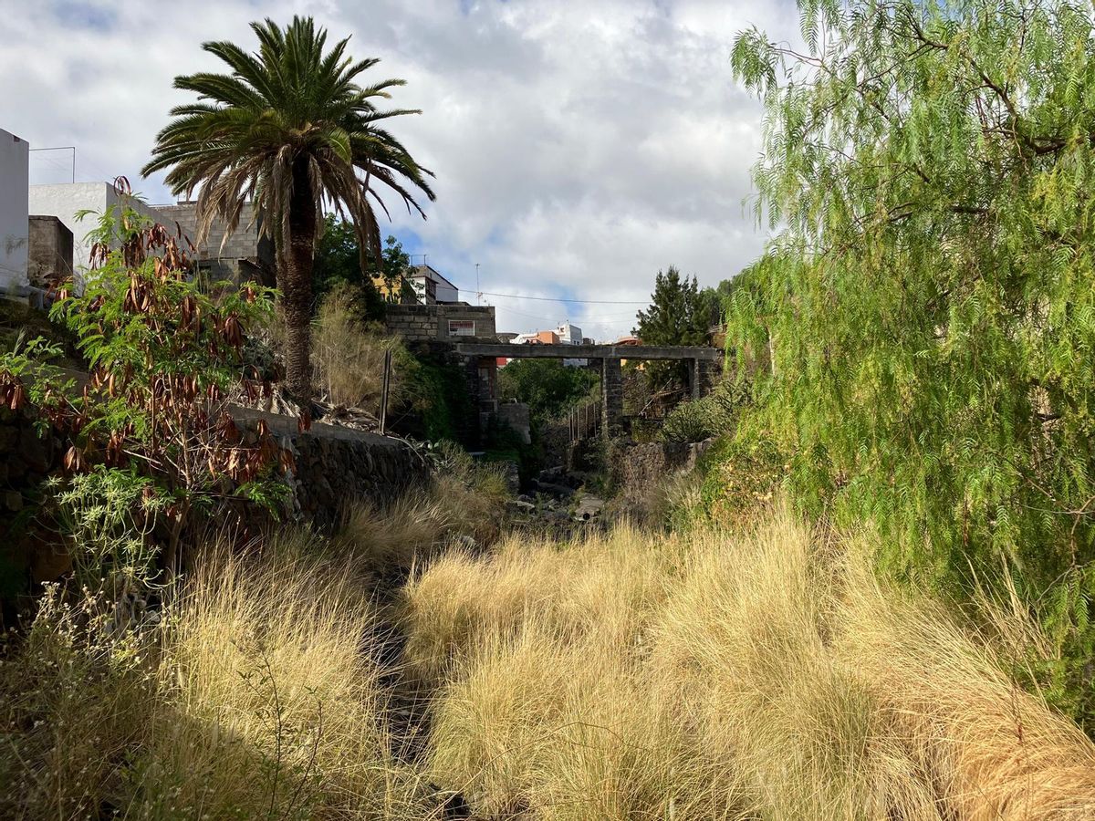 El barranco de el Hierro, uno de los examinados por Rodrigo Vargas.