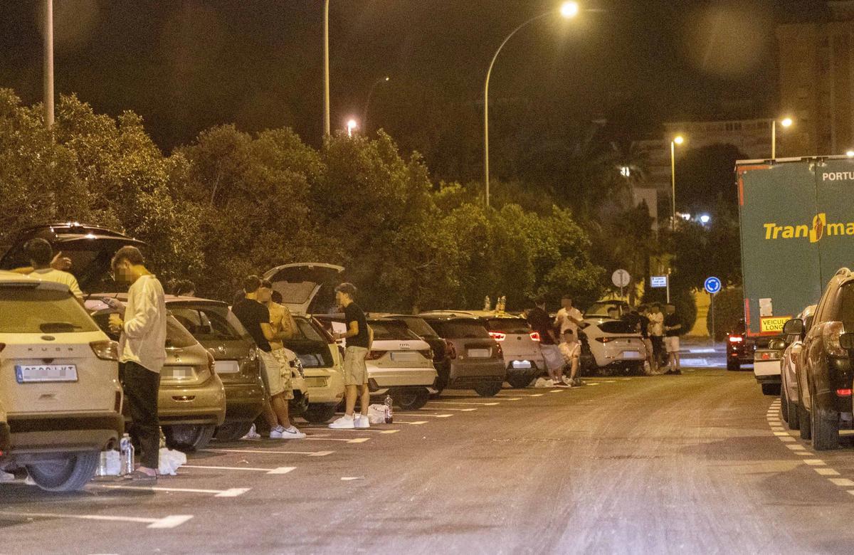 Botellón en la zona de la Albufereta en Alicante