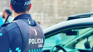 Dejó dos perros encerrados en una furgoneta al sol en Toledo y uno murió: detenido un hombre de 74 años por maltrato animal