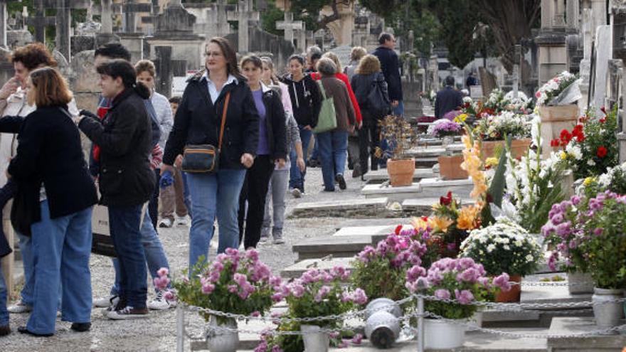 El cementerio de Palma durante la jornada de hoy