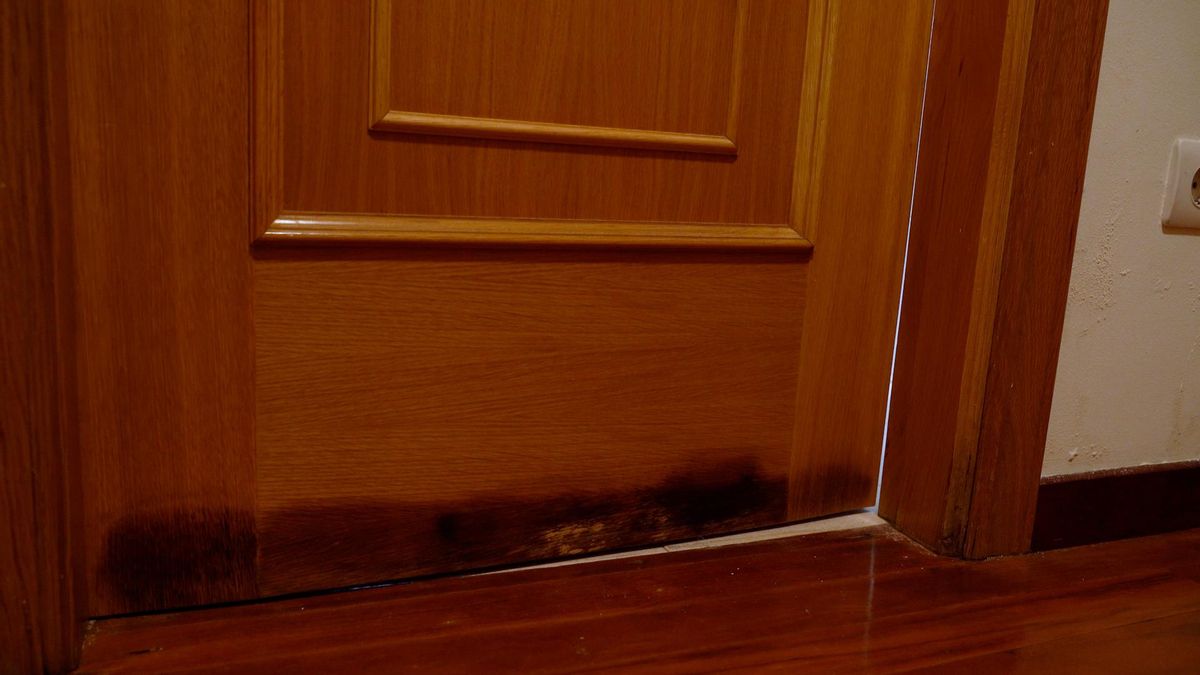La puerta de la cocina no solo está negra por la humedad si no que tampoco se puede cerrar porque los marcos están deformados