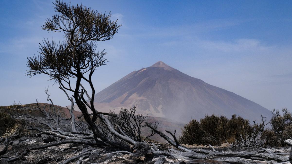 Estabilizado el incendio de Tenerife