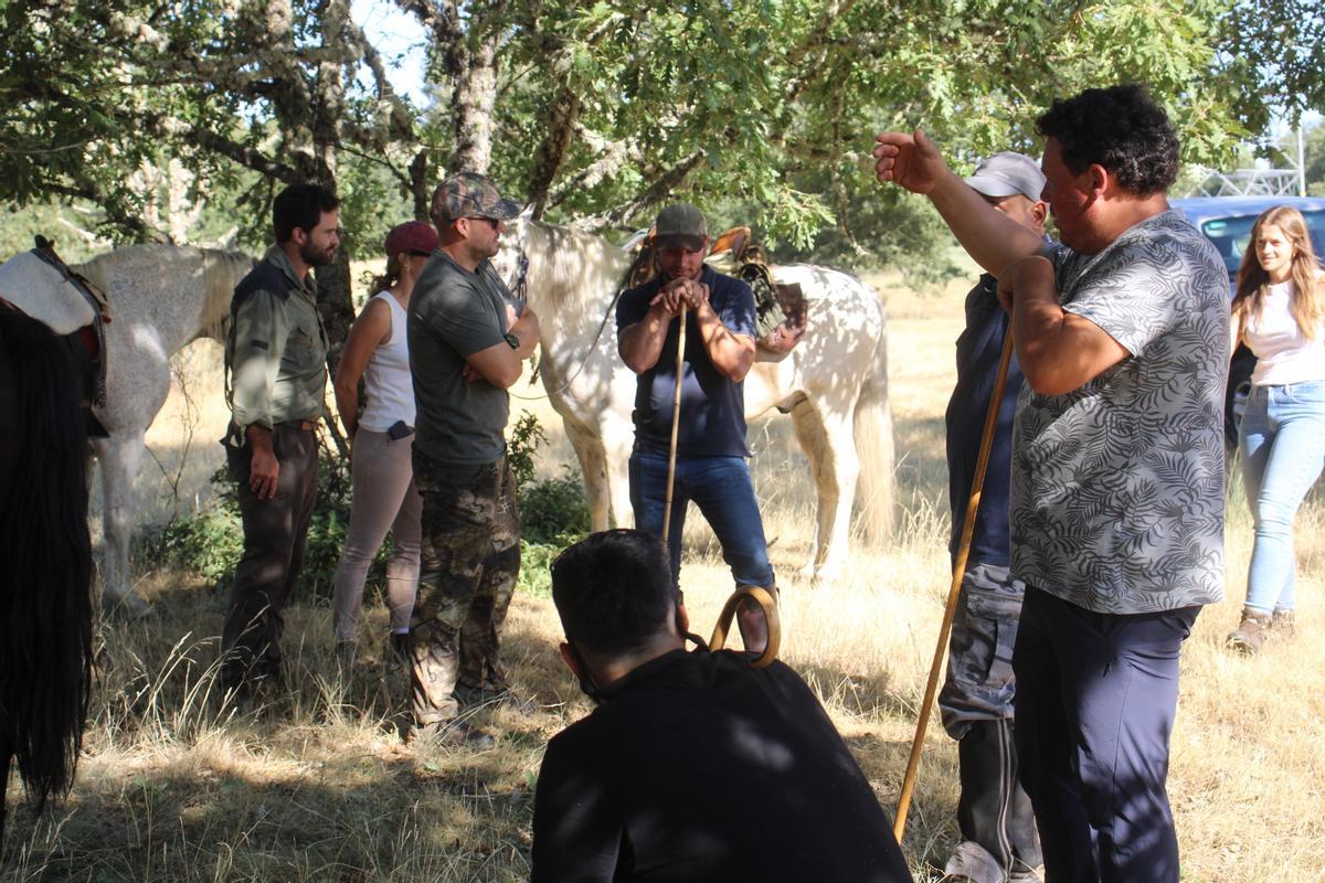 GALERÍA | La Sierra Segundera, el destino de un centenar de yeguas
