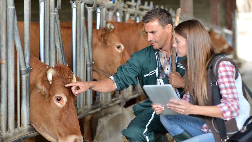 El de veterinario es uno de los perfiles profesionales de esta oferta de empleo.