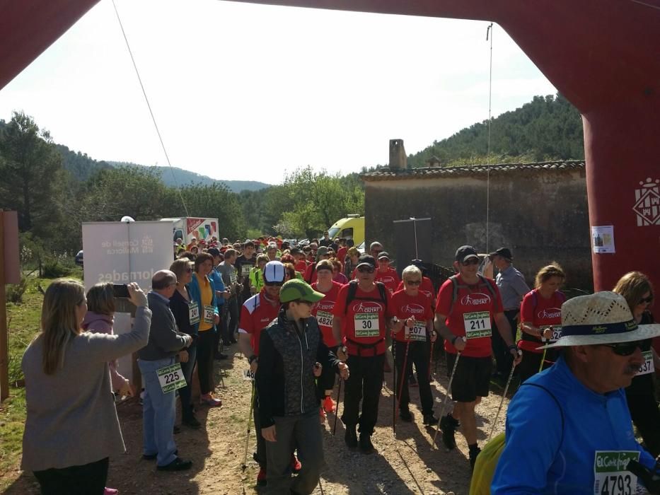 Caminata saludable en la finca Galatzó