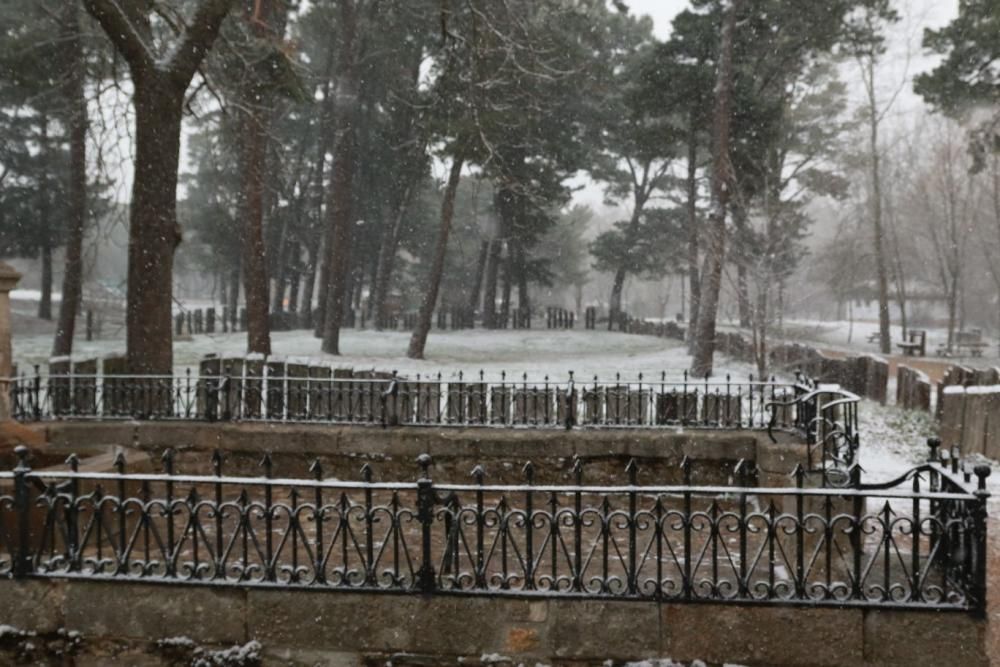 Primera nevada en Zamora capital