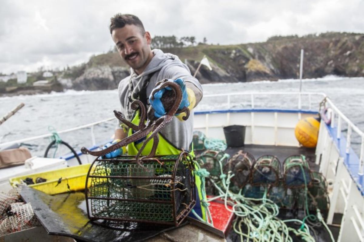 Captura artesanal del pulpo en Asturias