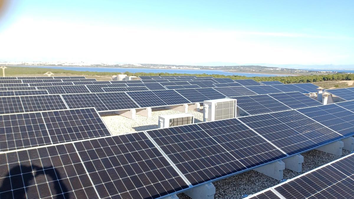 Los paneles solares generan energía renovable y ayudan a ahorrar dinero en la factura de la luz